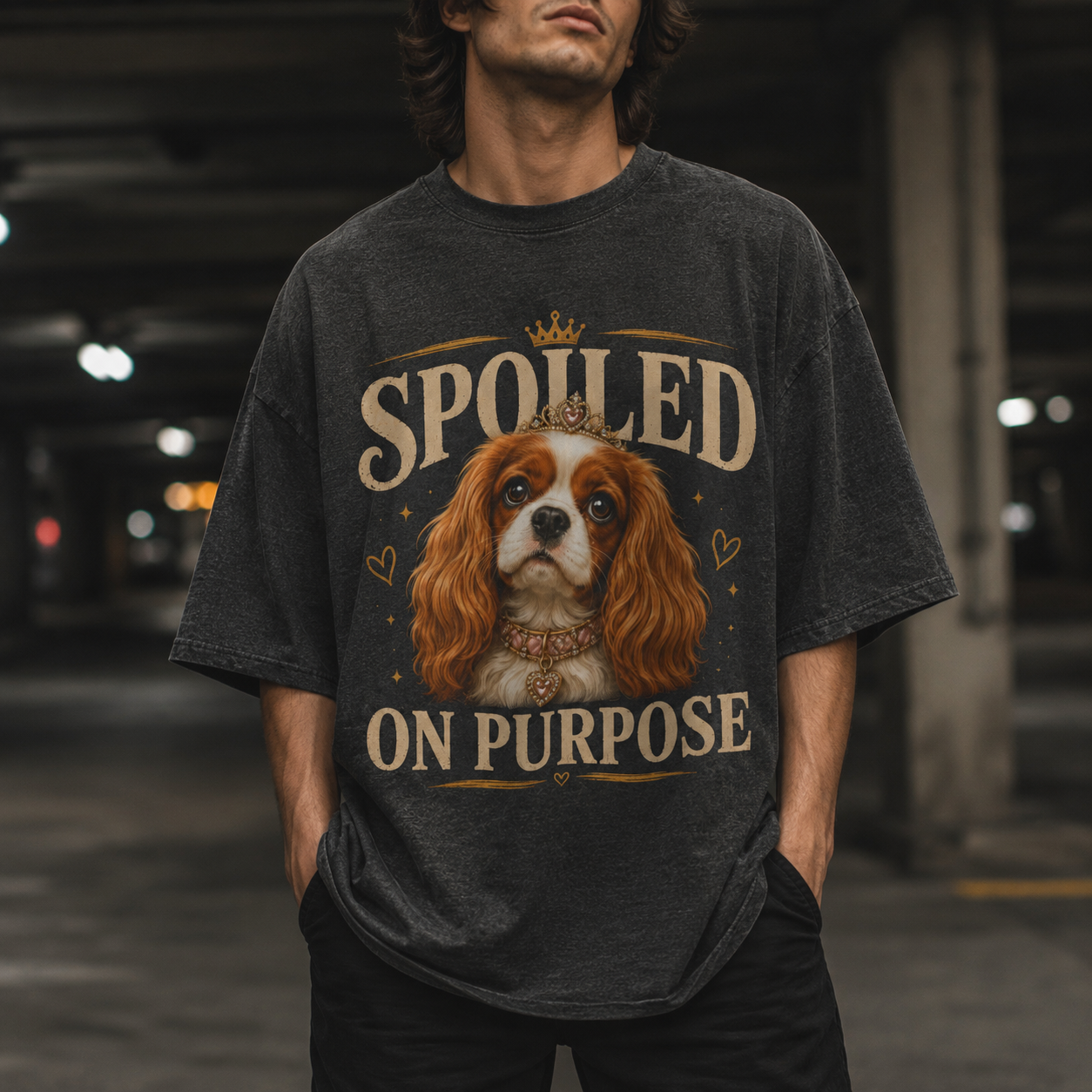 Diva Cavalier King Charles Dog - Spoiled on Purpose