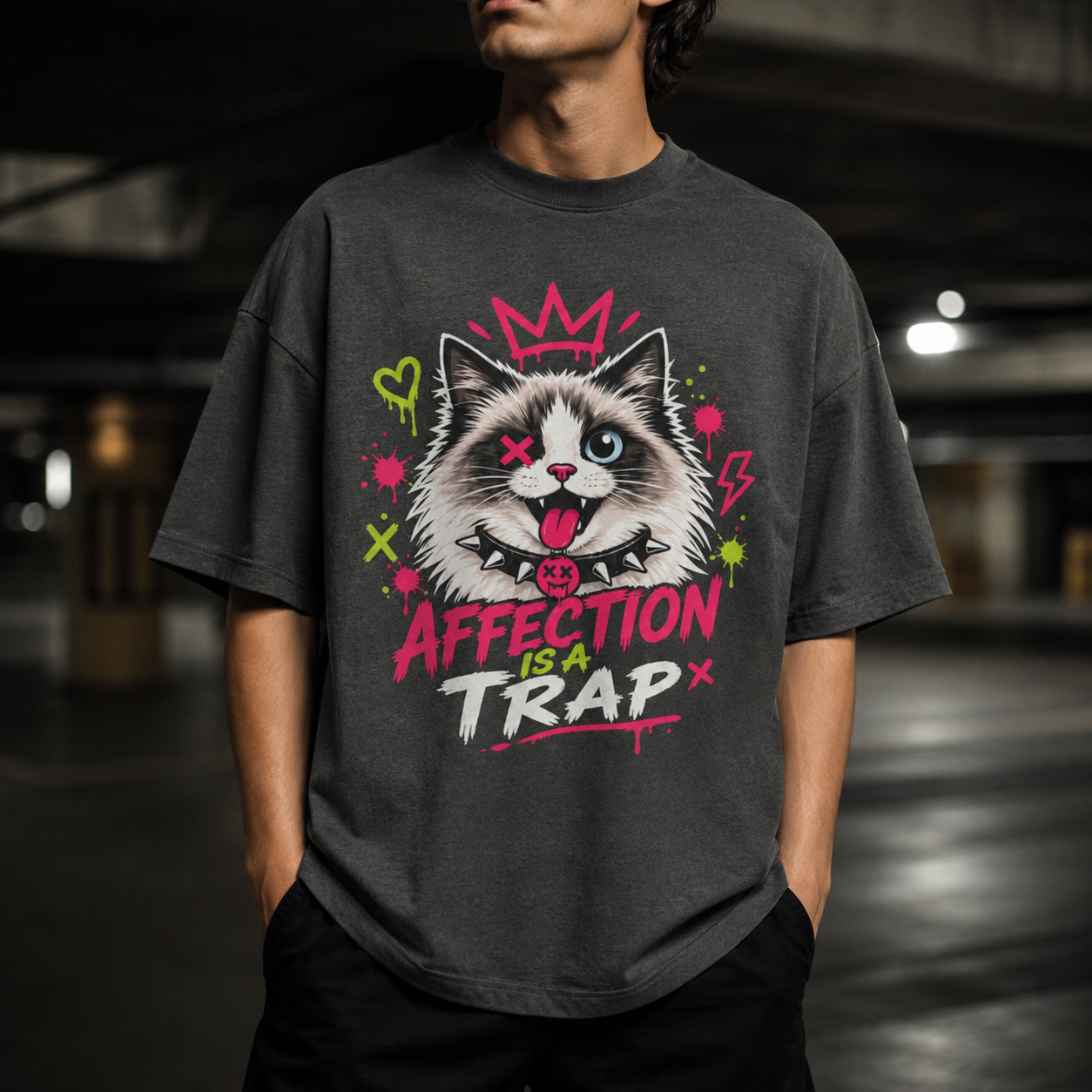 Emotionless Ragdoll Cat - Affection Is a Trap
