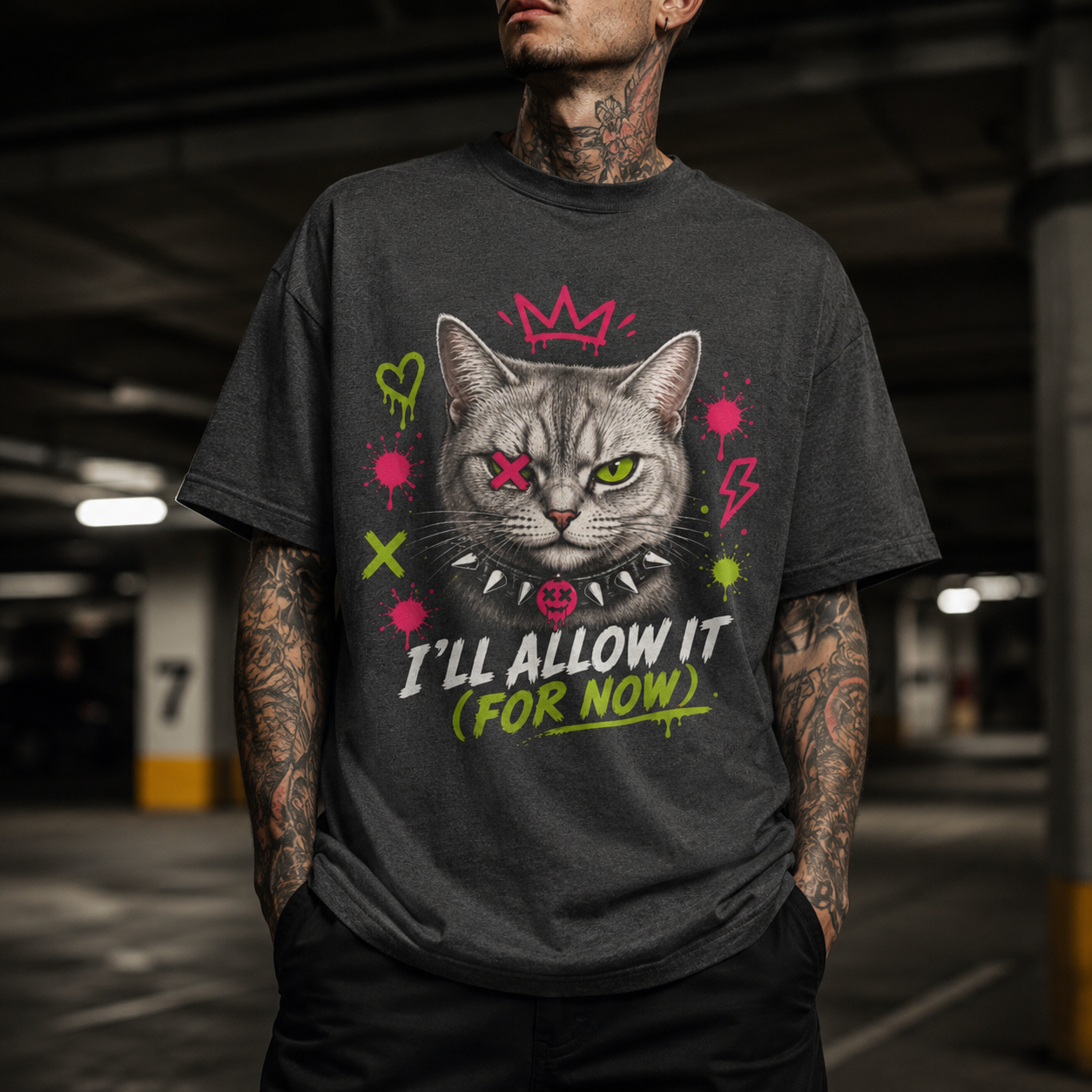 Begrudging American Shorthair Cat - I'll Allow It