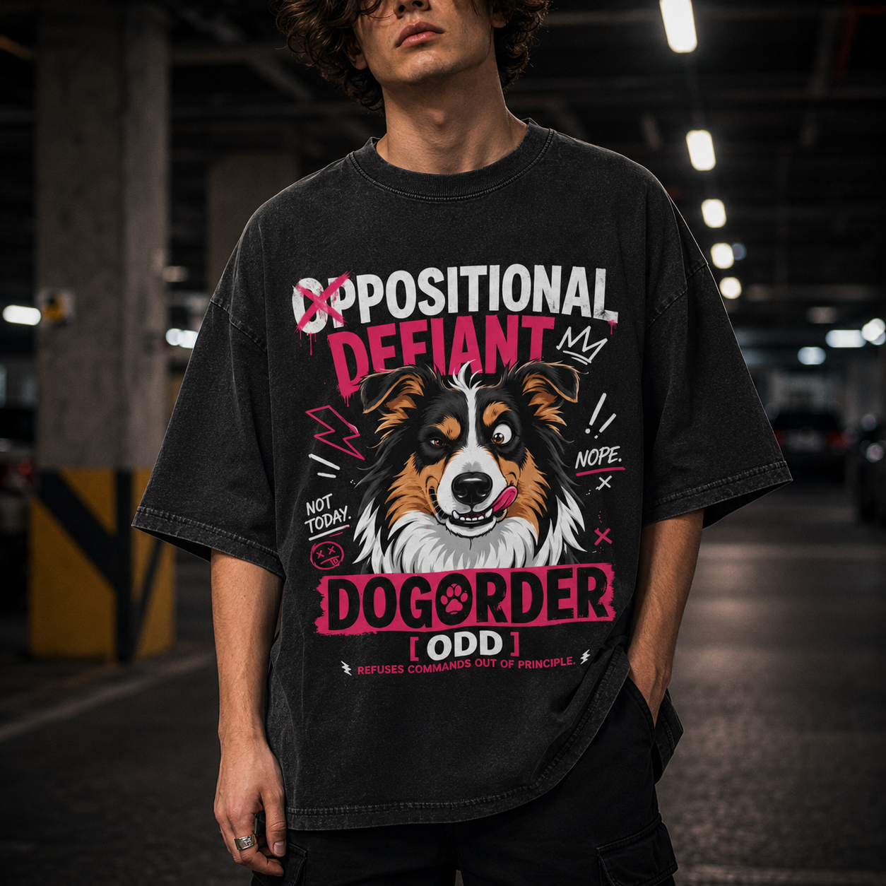 Rebellious Long-Haired Collie Dog - Oppositional Defiant
