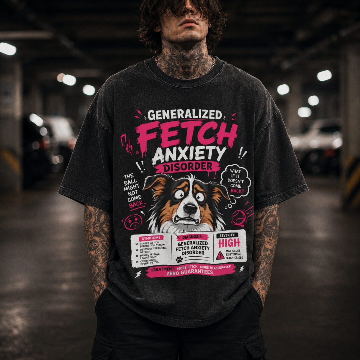 Nervous Long Hair Collie Dog - Fetch Anxiety