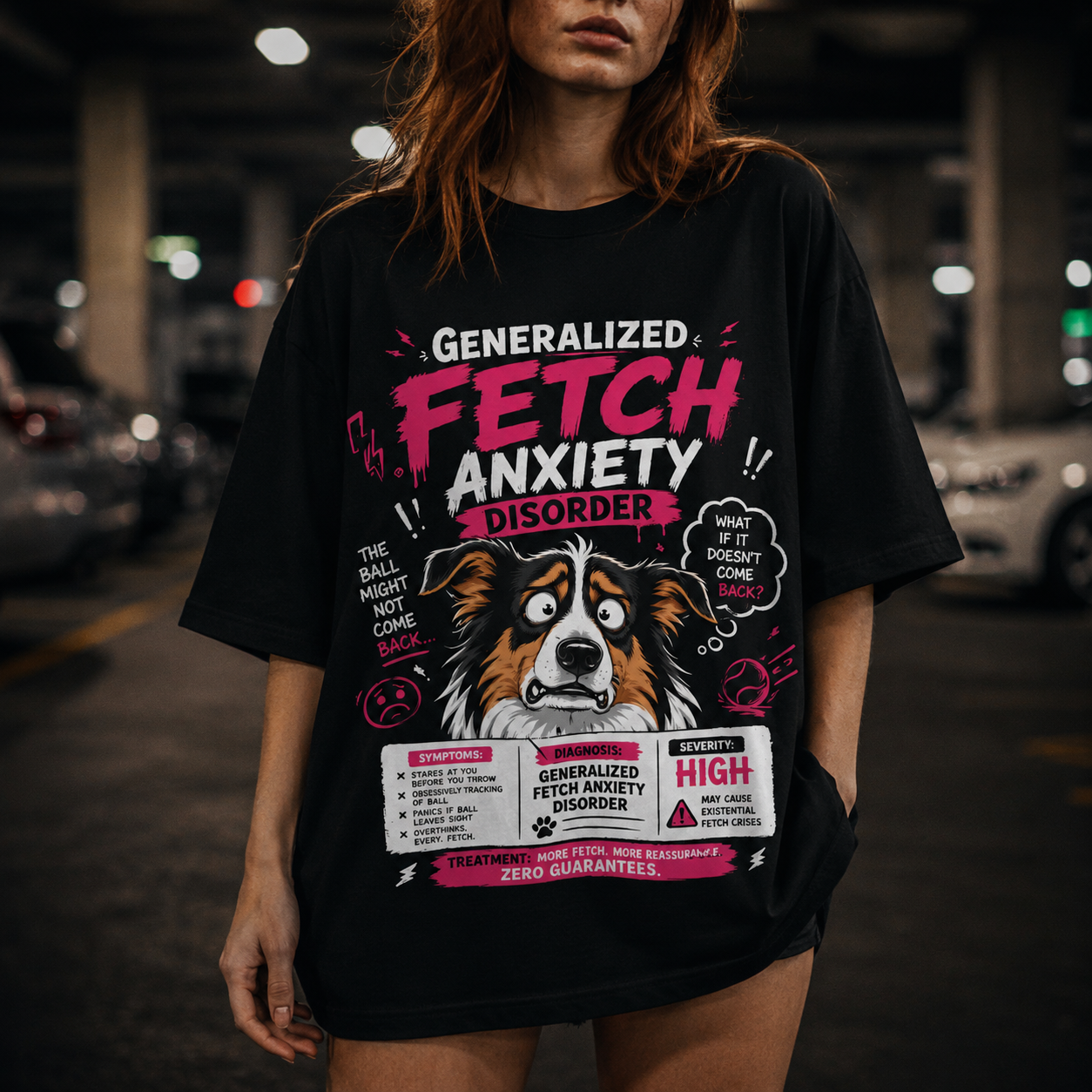 Nervous Long Hair Collie Dog - Fetch Anxiety